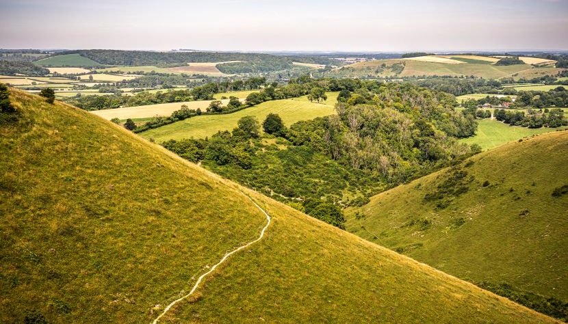 Butser Hill South Downs